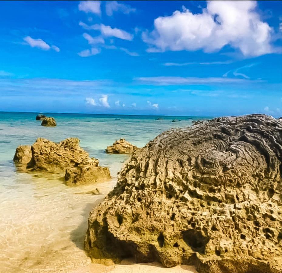 Palm Villa Ishigakijima Yugafu Ishigaki  Luaran gambar